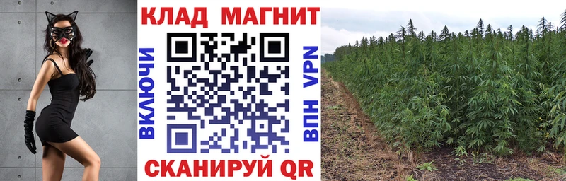 Как найти закладки Александровск-Сахалинский МЕТАДОН  A PVP  ГАШ  Мефедрон  МАРИХУАНА 