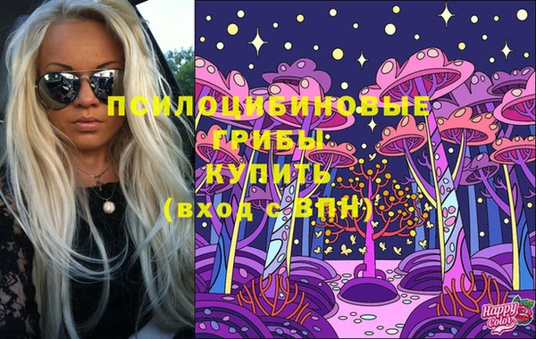 герыч Новозыбков
