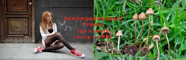 таблы Новокубанск