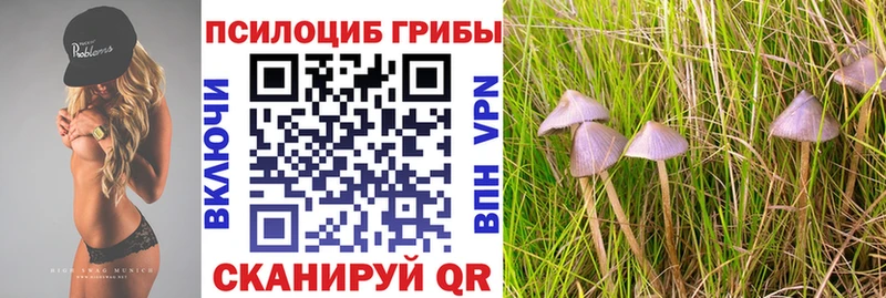 Галлюциногенные грибы ЛСД  Александровск-Сахалинский 